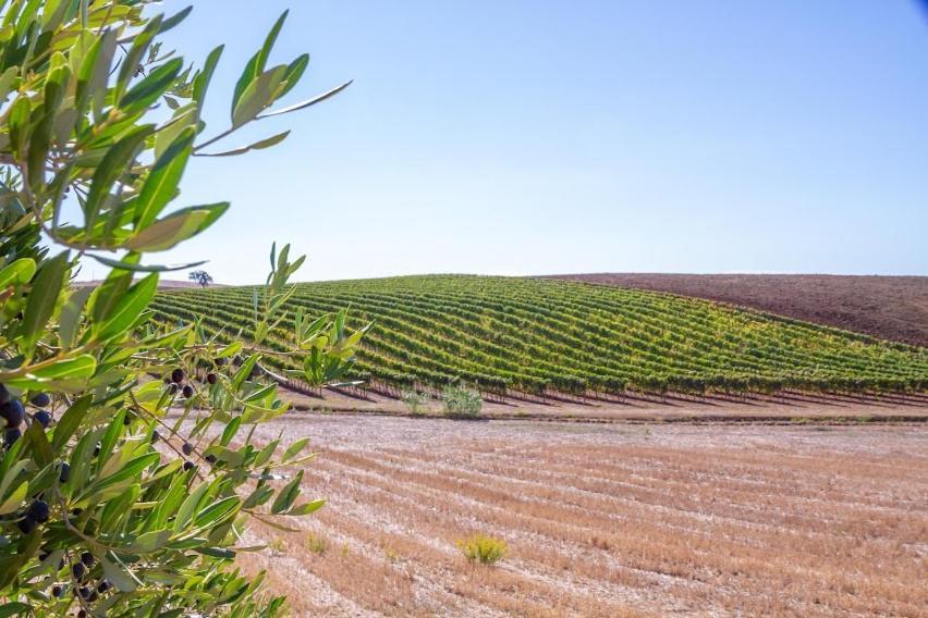 Agriturismo Severini Fonteblanda Luaran gambar