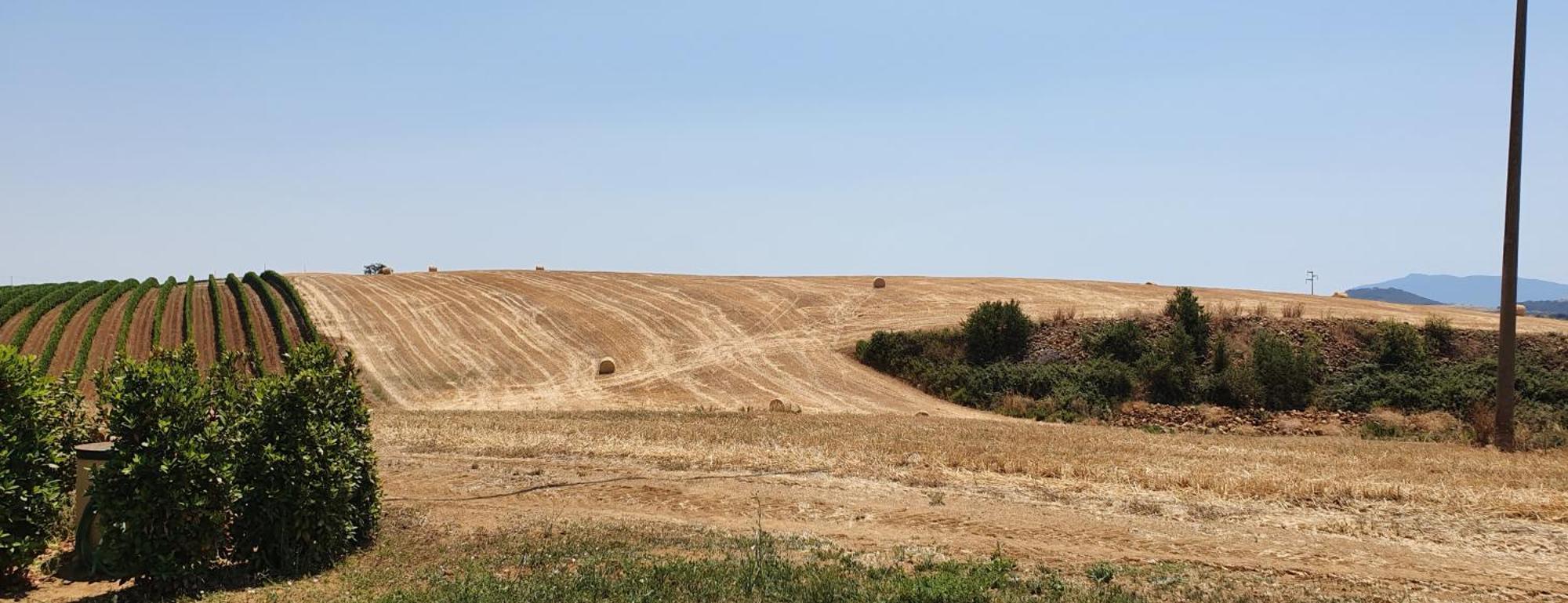 Agriturismo Severini Fonteblanda Bilik gambar