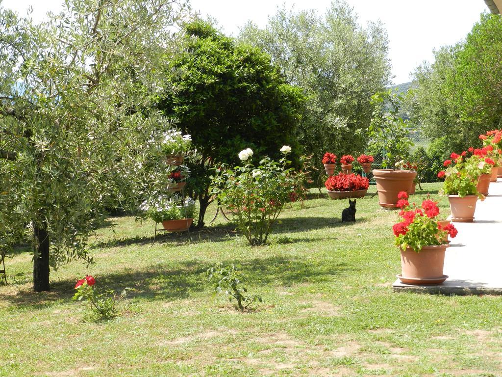 Agriturismo Severini Fonteblanda Luaran gambar
