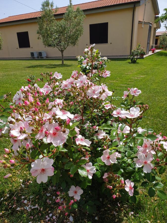 Agriturismo Severini Fonteblanda Luaran gambar