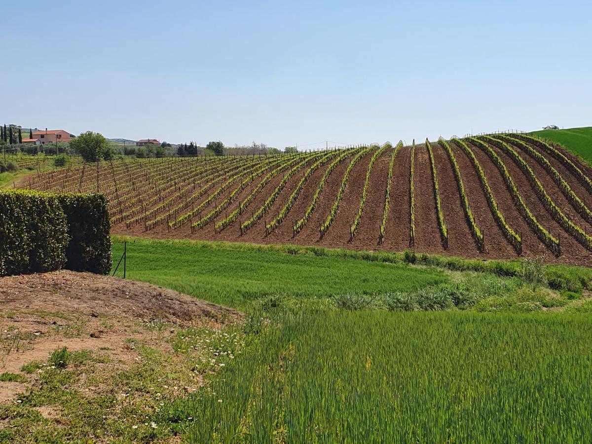 Agriturismo Severini Fonteblanda Luaran gambar